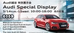Audi Special Display.jpg